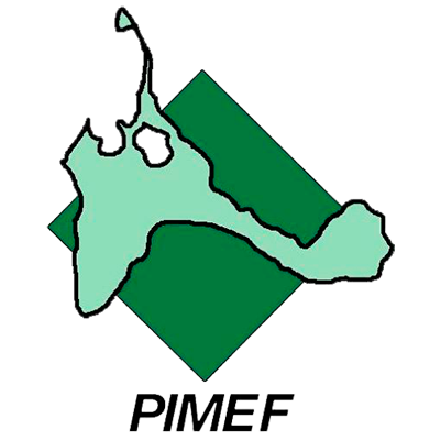 Logo-pimef